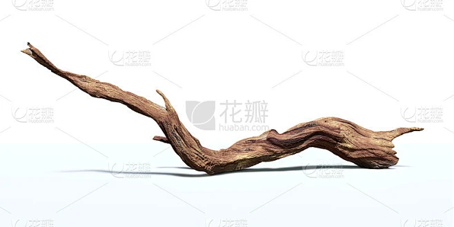 漂木孤立在白色背景，扭曲的树枝素材-花瓣网
