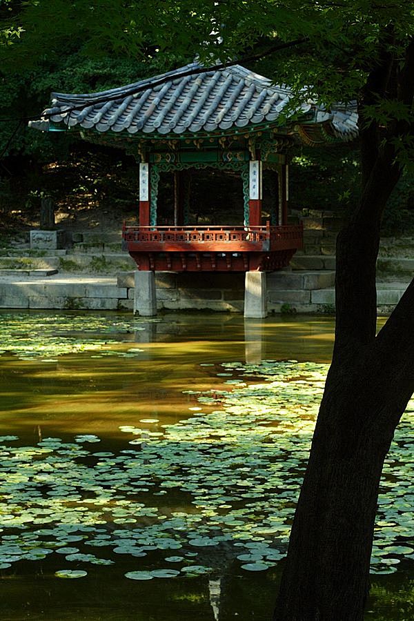 Changdeokgung by elr...