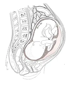 怀才和怀孕都有疲软期 得像婴儿一样改变姿态 换个角度感触生活