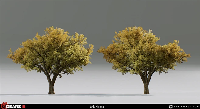 Maple Trees-花瓣网