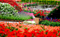 baskets depth of field flowers garden wallpaper (#2962522) / Wallbase.cc