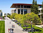 美国斯坦福医学院景观设计 Stanford School of Medicine - Discovery Art Walk by Tom Leader Studio-mooool设计