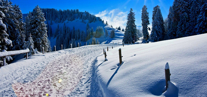冬天,雪山,自然,路,山,林,冬天美景,...