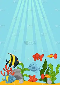 海洋底部与绿色海藻