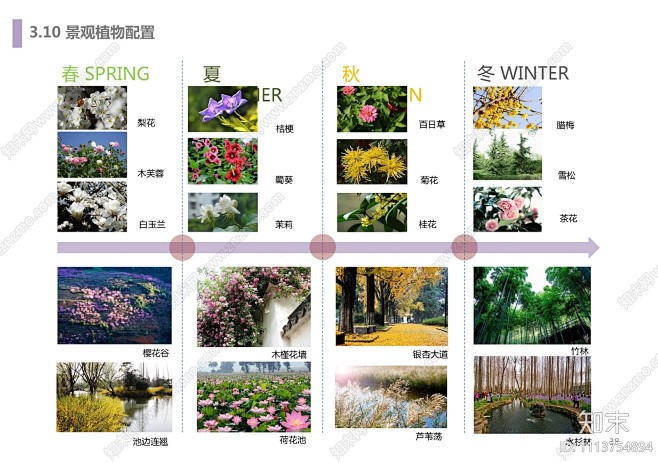 传统特色中药田园综合体中医中草药产业园