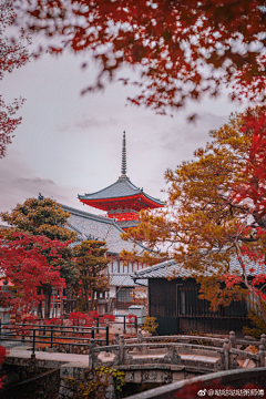 蓝色天空的畅想采集到日本