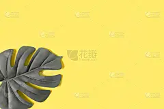 照亮黄色和终极灰色，2021年的新颜色。