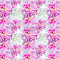 芳香的,式样,粉色,时髦的,玫瑰色的正版图片素材下载_ID:164435382 - Veer图库
