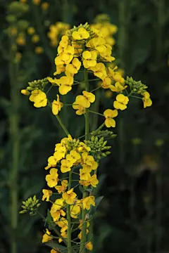 greensun  的插画 冷暖