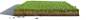 shutterstock_1065467786-1