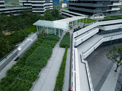 不喝咖灰会shi星人采集到屋顶花园&庭院