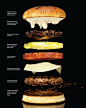 20110131-modernist-cuisine-burger-thumb-500x630-137237.jpg (500×630)
