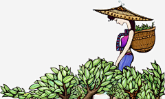苘~采集到人物
