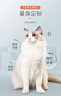 猫粮成猫泌尿猫粮三文鱼肉猫饭2kg英短蓝猫通用增肥发腮猫主粮4斤-tmall.com天猫