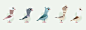 Pigeon Game : Concept design for a game based around pigeons