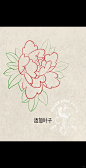 牡丹画法 | 新老传统均可 - 小红书