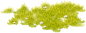 15845