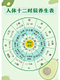 人体十二时辰养生表