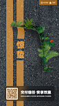 惊蛰·创意来自网络