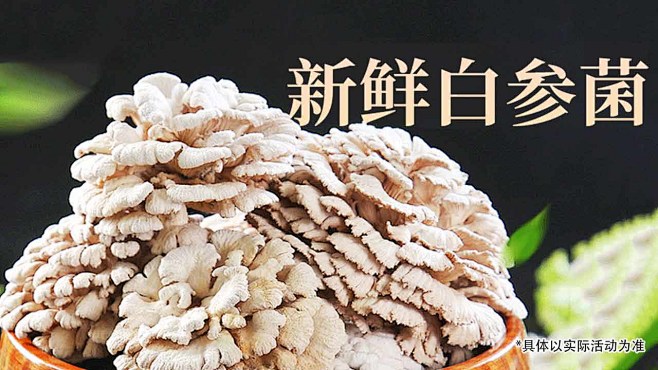 白参菌1280x720