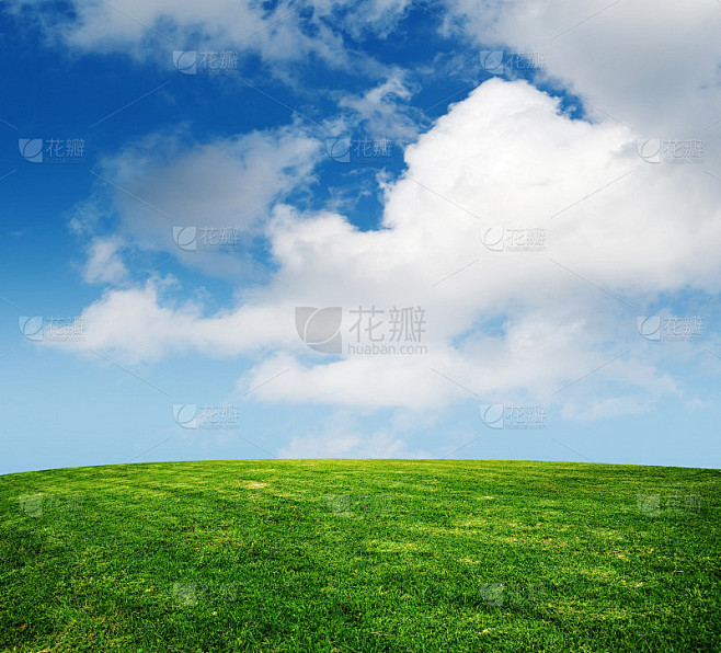 草和天空