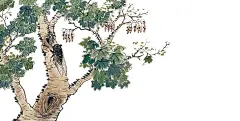 手绘古诗词～蝉 - 小红书