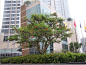 石榴桩01