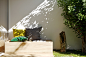 House C3 - Full CGI : House C3 - Full CGI