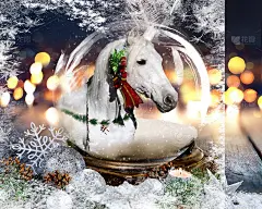 雪花球里的冬白马