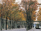 Keyaki Hiroba Plaza, Saitama, Japan: 