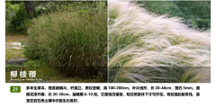 Adrifty采集到标识牌