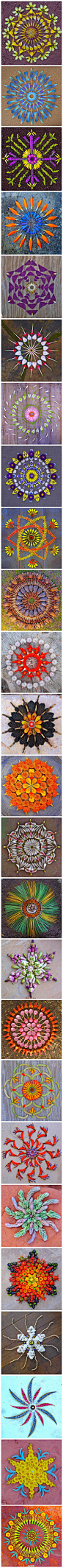 Kathy Klein，美国女艺术家，她使用花朵、岩石、贝壳等创作精美的纹样图案，称之为Mandala艺术，Mandala原意是指佛教和印度教修法地方的圆形或方形标记，官网上称"她狂热的爱好自然，创作首先是让自己有一个冥想的空间"。