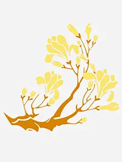 卡通手绘盛开的桂花免抠素材_元小素 https://iipng.com 卡通画 手绘桂花树 枝干 桂花 植物 植物花朵 盛开的桂花 花卉 装饰画 金色