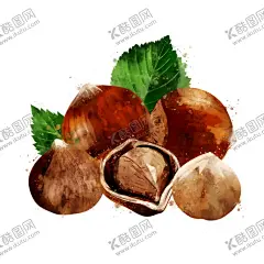 手绘彩色蔬菜免扣素材图片 【酷图网】栗子,板栗,青菜插画,蔬菜插画,手绘蔬菜,手绘青菜,健康饮食,果蔬,蔬菜,水果,饭菜,绿色蔬菜,食物手绘,小清新,素材,美食,餐饮,手绘,食材,插画,火锅食材,食物,光盘行动,拒绝浪费,光盘,公益,宣传,卡通,PNG,免抠,免抠图,抠图,元素,透明,蔬菜素材,蔬菜沙拉,沙拉,有机蔬菜,天然,健康