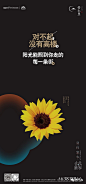 细节刷-在此精彩