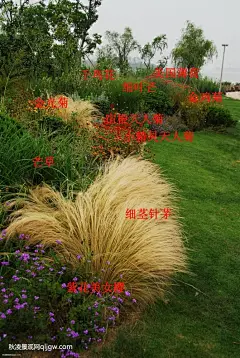 花镜4.jpg