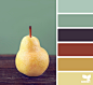 Design Seeds Color Palettes.