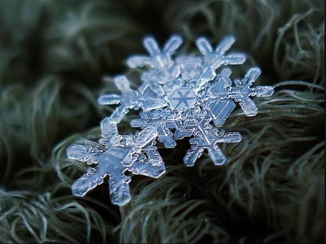 每一片雪花都是独一无二的自然杰作