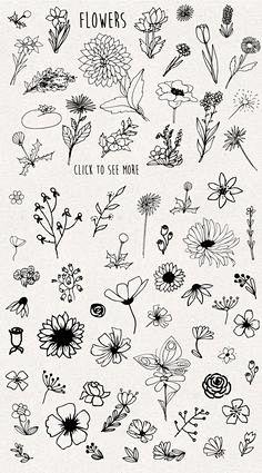 Only flowers ! #Ad ,...