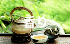 sks不言采集到日本茶叶整套设计