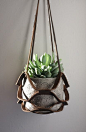 macrame plant holder - leather kirigami with succulents & cement planter: 