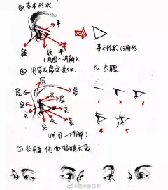 干货 | 速写人物五官的刻画  需转 ​​​​