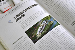 鹿非马采集到画册