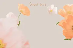 柔美花艺风格情侣写真图片编辑模板(16).psd