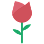 玫瑰花