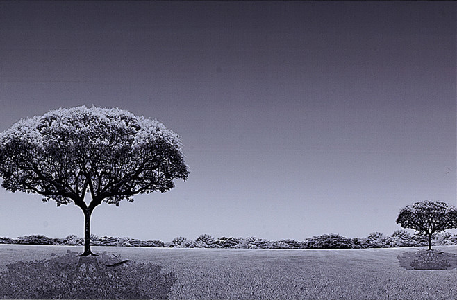 风景素材