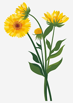 Dandelion°888采集到手绘花