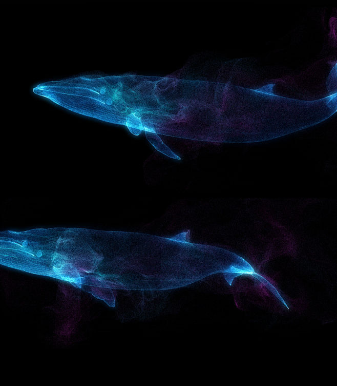 鲸鱼粒子海底梦幻唯美海洋蓝色蓝鲸鱼动画3...