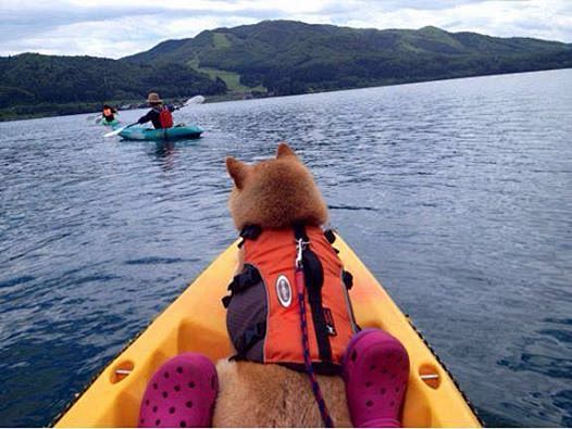 神烦的船长！
Captain #doge...