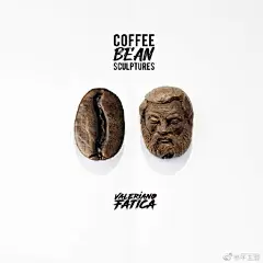 Valeriano Fatica是位来自意大利的小有名气的雕刻家，他从小就喜欢画画，梦想成为一名画家。但当其进入艺术高中后，才意识到自己对雕塑真正的热情。2011年，在餐厅工作中他开始做水果雕刻，渐渐地很多人知道了他。而最近他的兴趣转向了咖啡豆，用一颗颗小豆子雕刻自己喜欢的动漫人物形象。不得不说，作 ​​​​...展开全文c